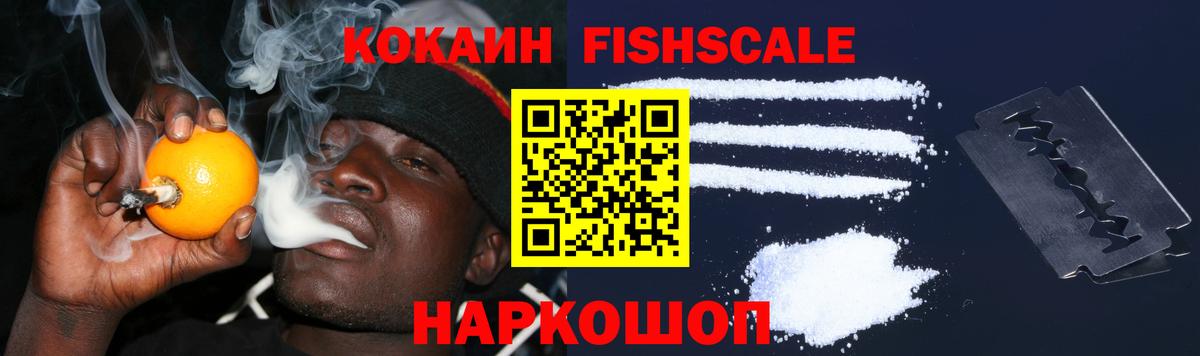 Cocaine Fish Scale Кондопога