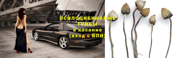 прущие крисы Нягань