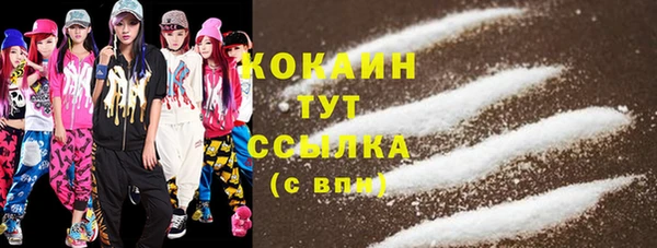 мяу мяу мука Няндома