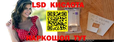 МДПВ Кингисепп