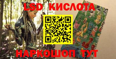 МДПВ Кингисепп