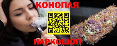 МДПВ Кингисепп