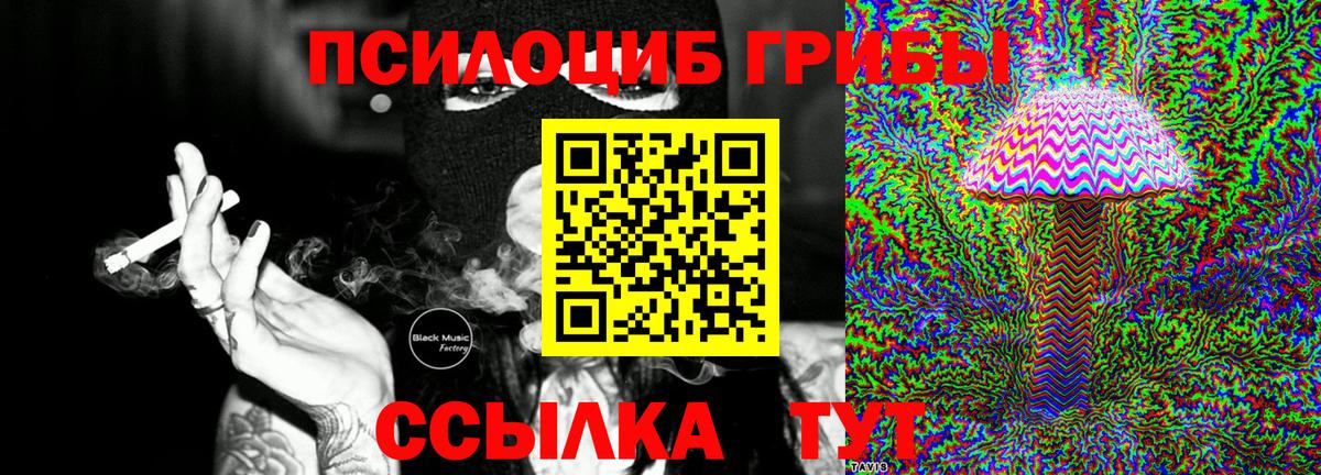 Галлюциногенные грибы Psilocybe  Кондопога  Псилоцибиновые грибы Psilocybine cubensis 