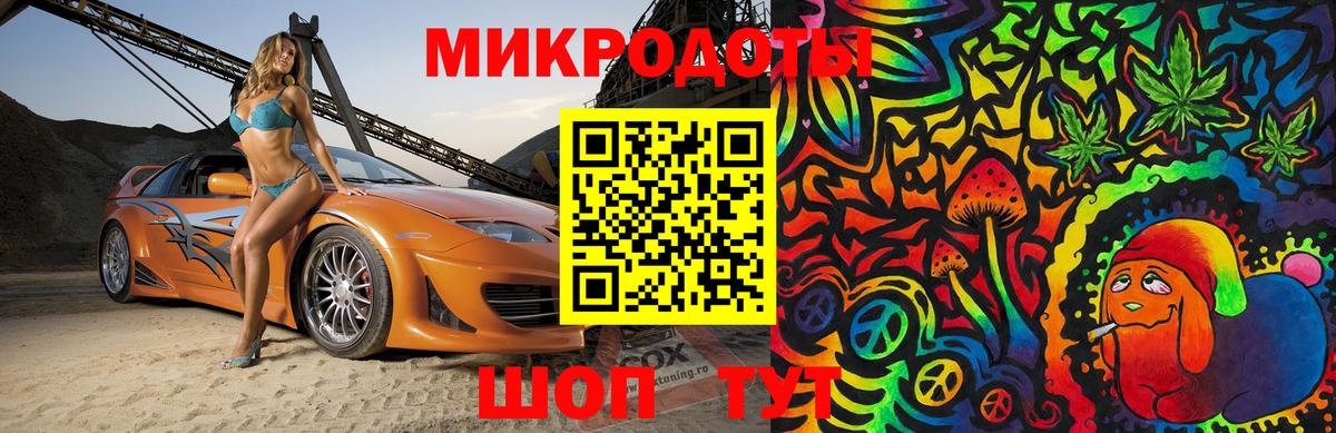 Псилоцибиновые грибы Psilocybine cubensis Кондопога