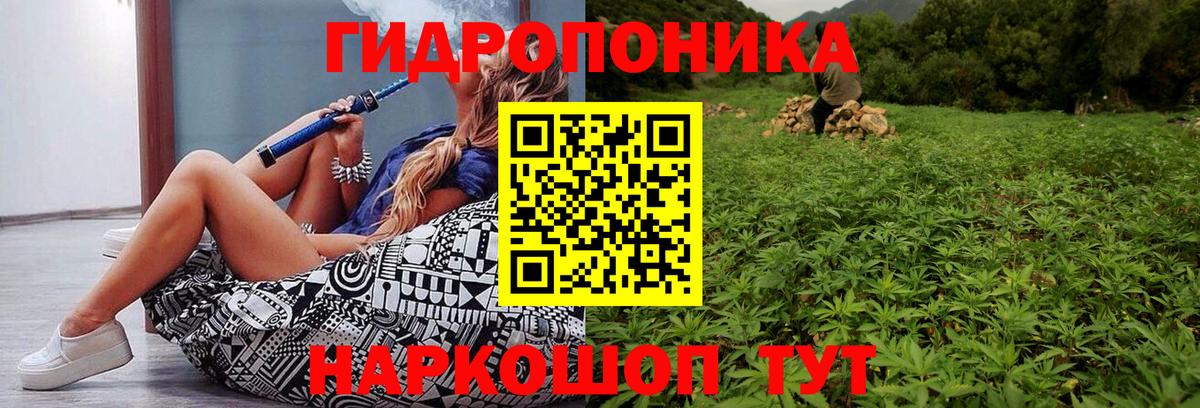 Марихуана планчик  Канабис ГИДРОПОН  Кондопога 